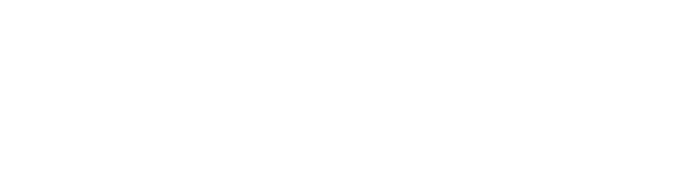 MAIDO International